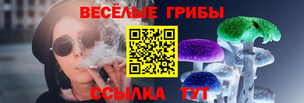 Псилоцибиновые грибы GOLDEN TEACHER  Галлюциногенные грибы MAGIC MUSHROOMS  Вход с VPN  Тольятти 