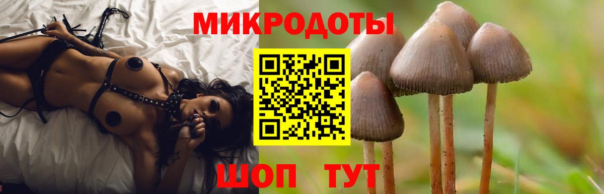 Псилоцибиновые грибы мухоморы Тольятти